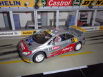 307 WRC #6